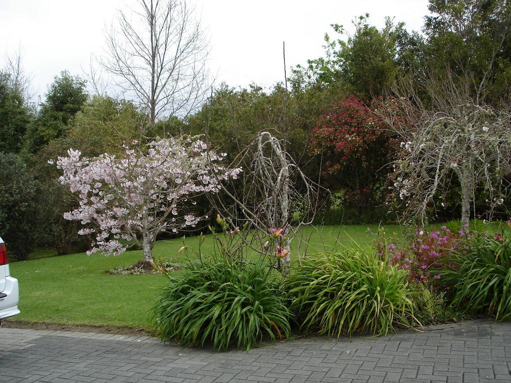 Warkworth Country House Ngoại thất bức ảnh